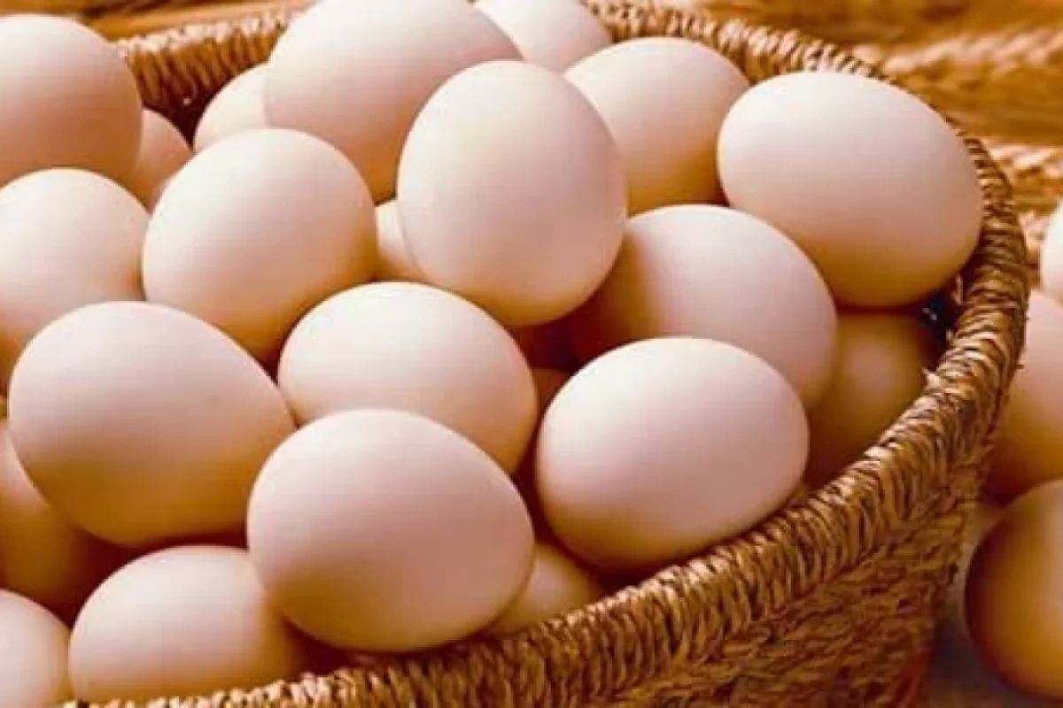 Yumurta ilə bağlı mühüm qərar verildi