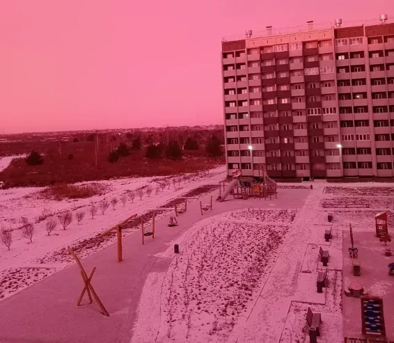 Rusiyada şəhər çəhrayı rəngə boyandı - FOTOLAR