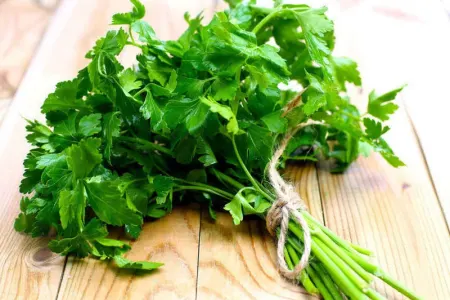 Qış ayları üçün - TƏBİİ ANTİBİOTİK