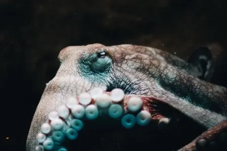 Planetin yeni hökmdarları - AÇIQLANDI