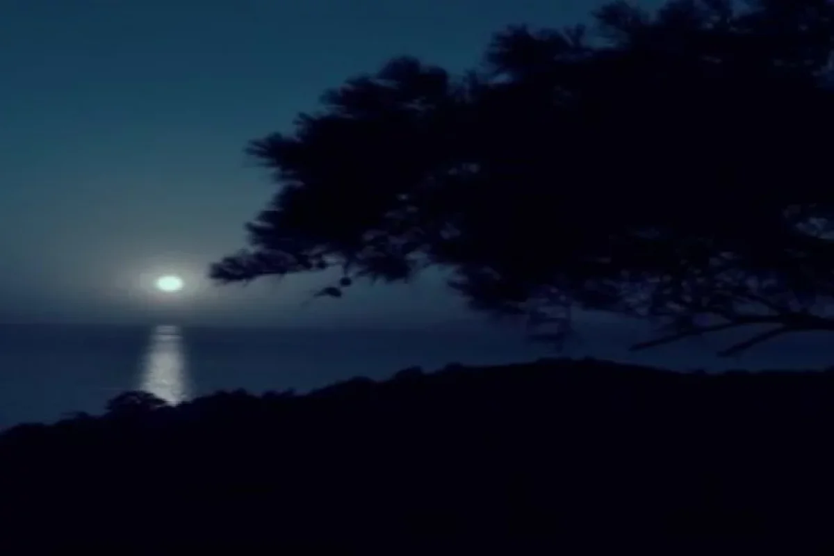 2024-cü ilin ən qısa günü bu tarixdə OLACAQ