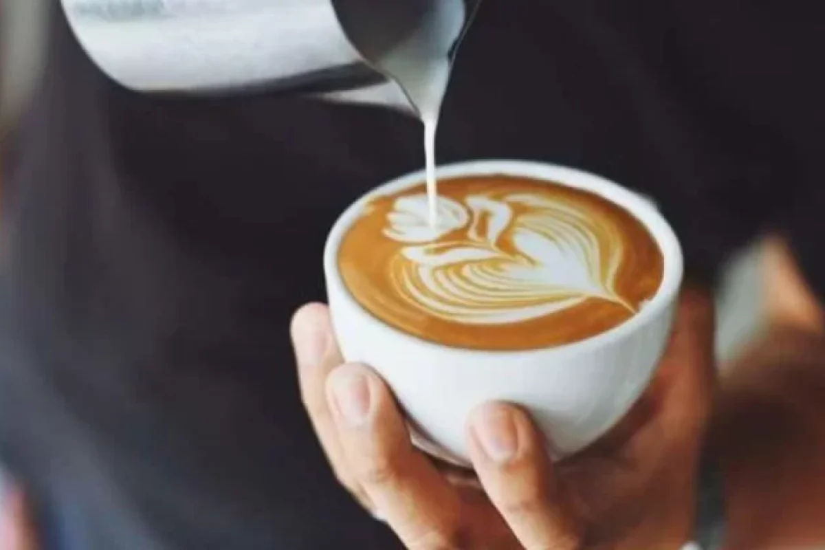 Qəhvə insan bağırsaqlarına necə təsir edir?