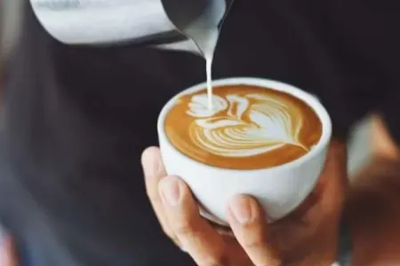 Qəhvə insan bağırsaqlarına necə təsir edir?