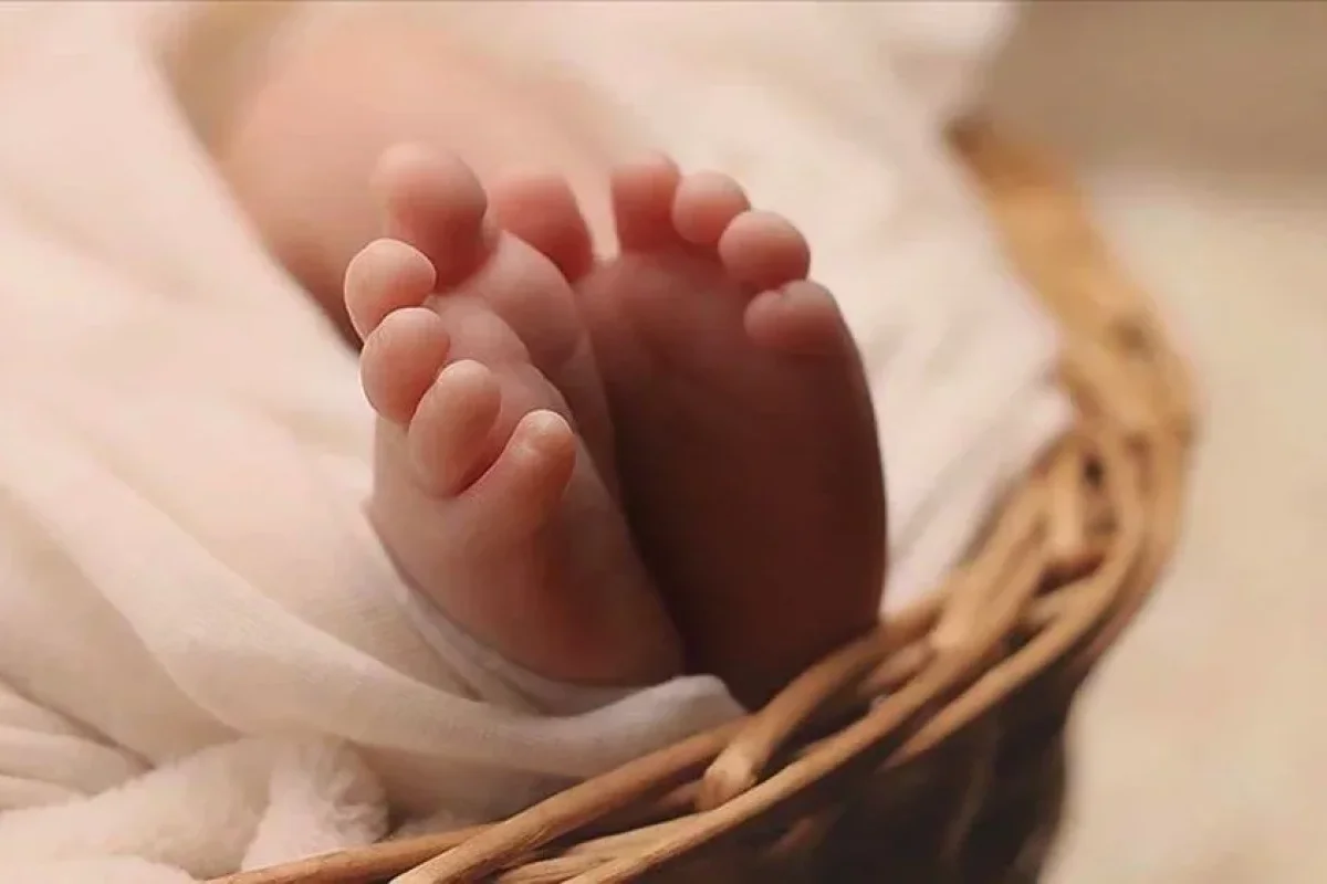 Süni mayalanma qalmaqalı: - Analar qarışdı, körpələr dəyişdirildi...