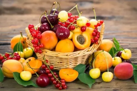 Bu meyvənin qabığı - şəfa mənbəyidir