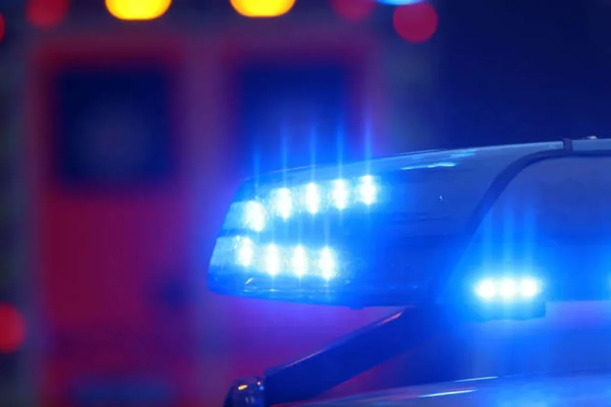 66 yaşlı kişiyə hücum edildi