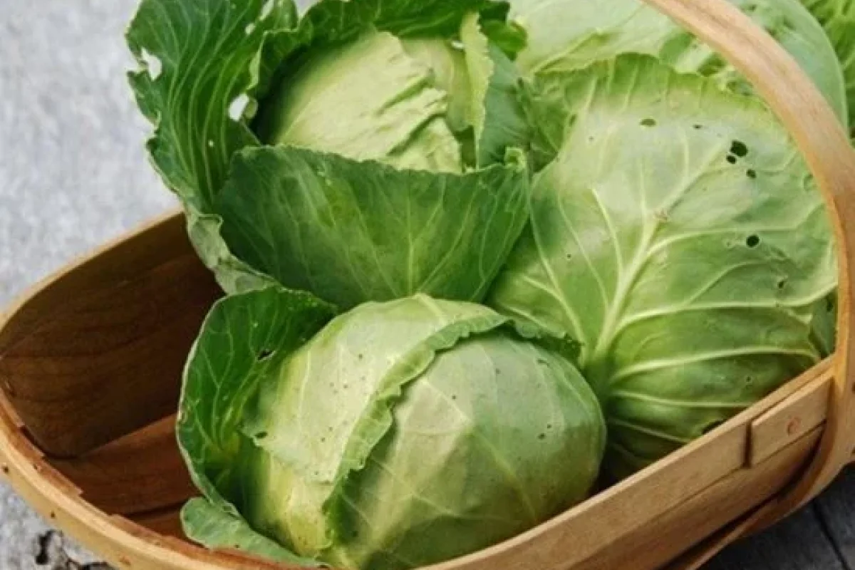 Kələmin bilmədiyiniz 5 faydası