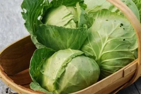 Kələmin bilmədiyiniz 5 faydası