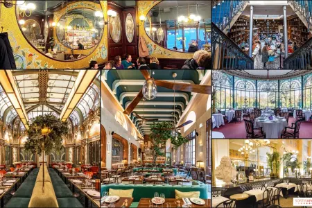 Şəhərin mərkəzində məşhur restoranlarda tarakanlar tüğyan edir - Siyahı