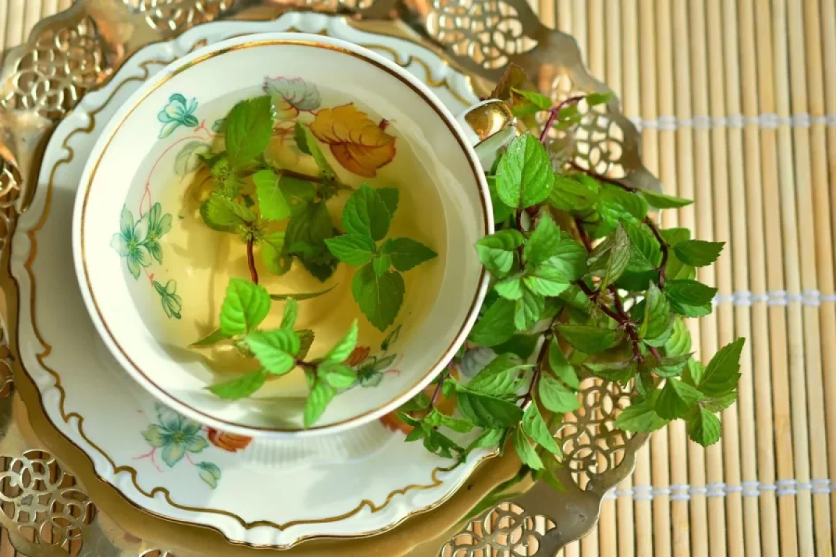 Yaşıl çayı bu şəkildə içmək - bədəni məhv edir