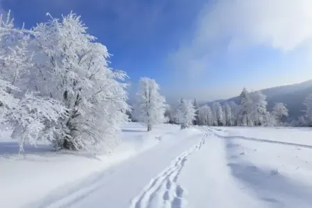 Dekabr ayının - HAVA PROQNOZU