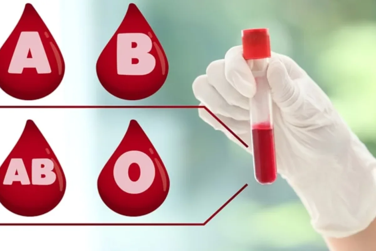Ən çalışqan qan qrupu: - Onlar hər şeyi düzgün edirlər