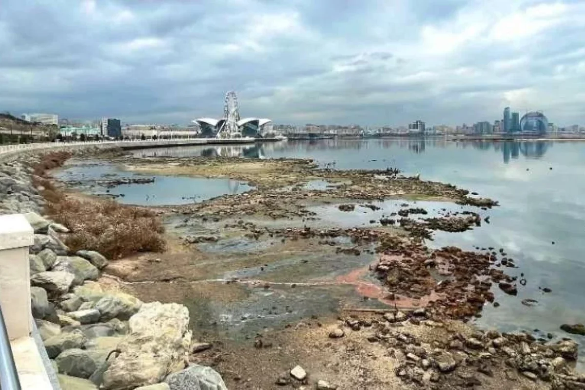 Xəzərlə bağlı qorxunc proqnoz: - 9-18 metrə qədər...