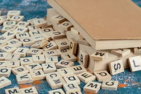 2024-cü ilin SÖZÜ