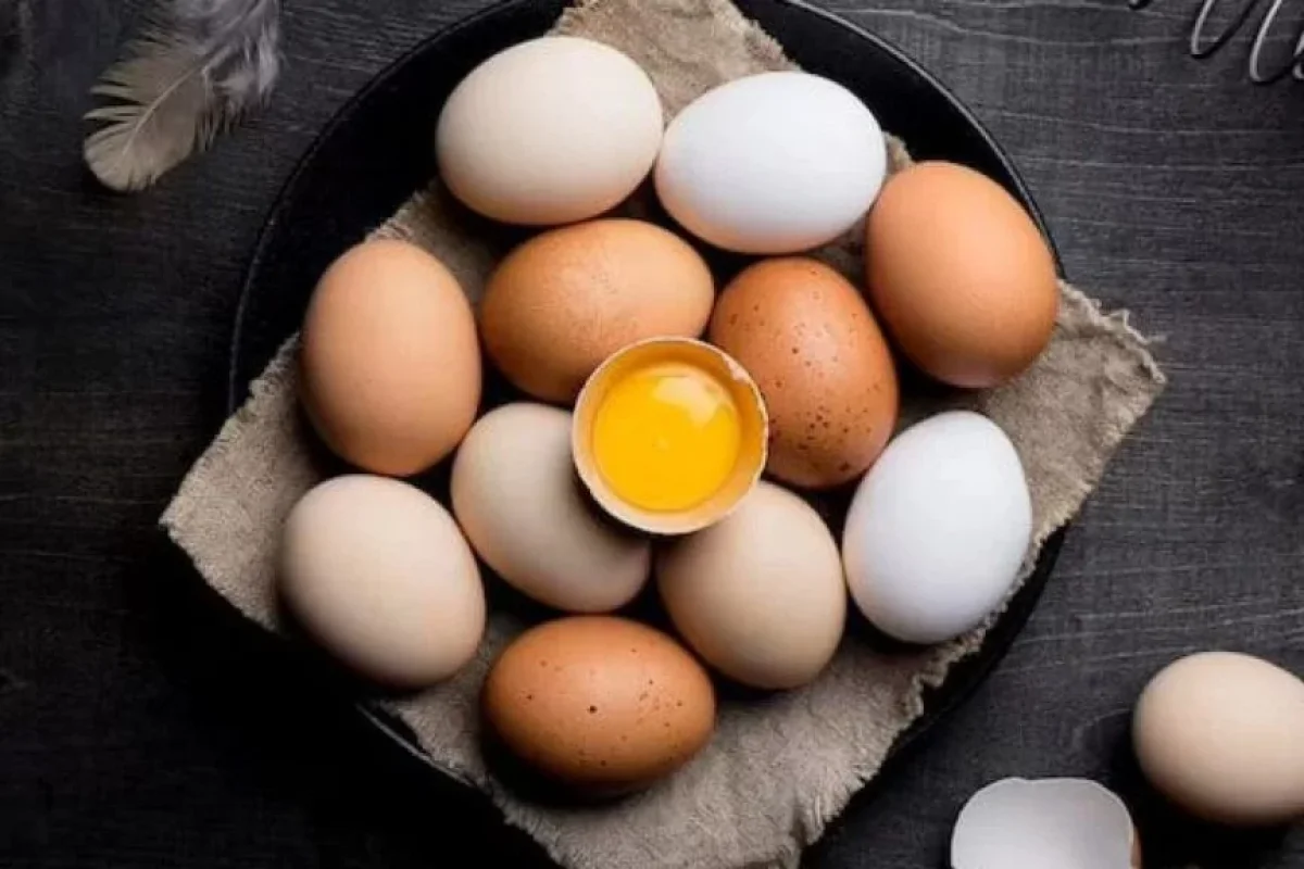 Yumurta insanı qorxulu xəstəliklərdən - QORUYUR