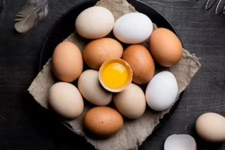 Yumurta insanı qorxulu xəstəliklərdən - QORUYUR