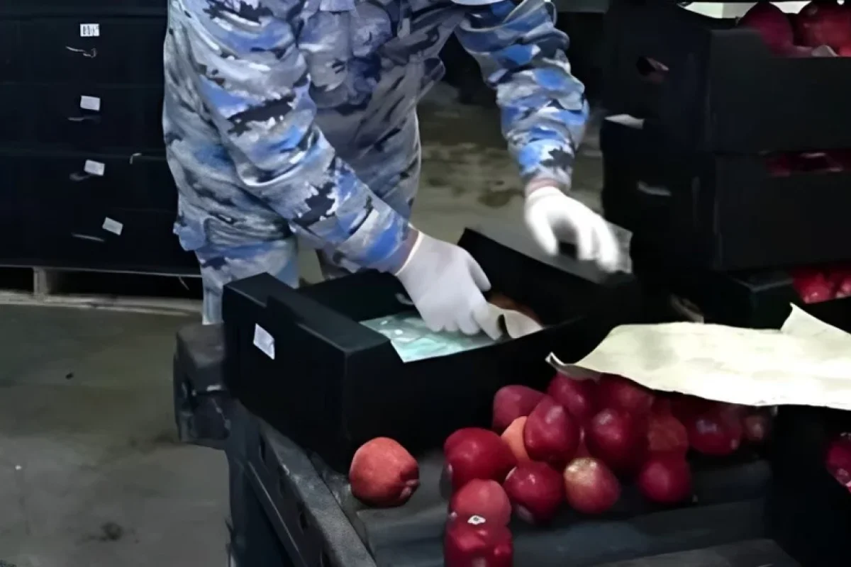 Azərbaycandan tranzit keçən daha bir “alma” yükündə qanunsuz maddə aşkar edilib