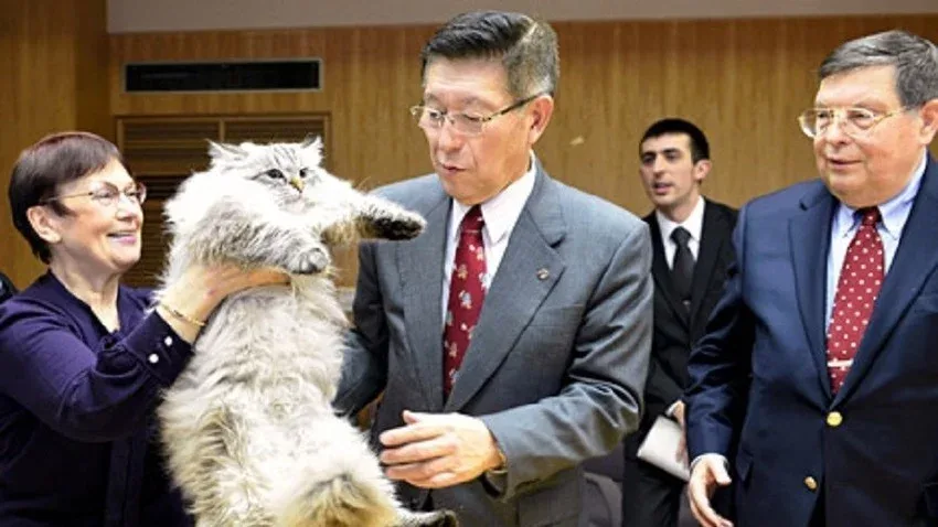 Putinin ona hədiyyə etdiyi pişik öldü - FOTO