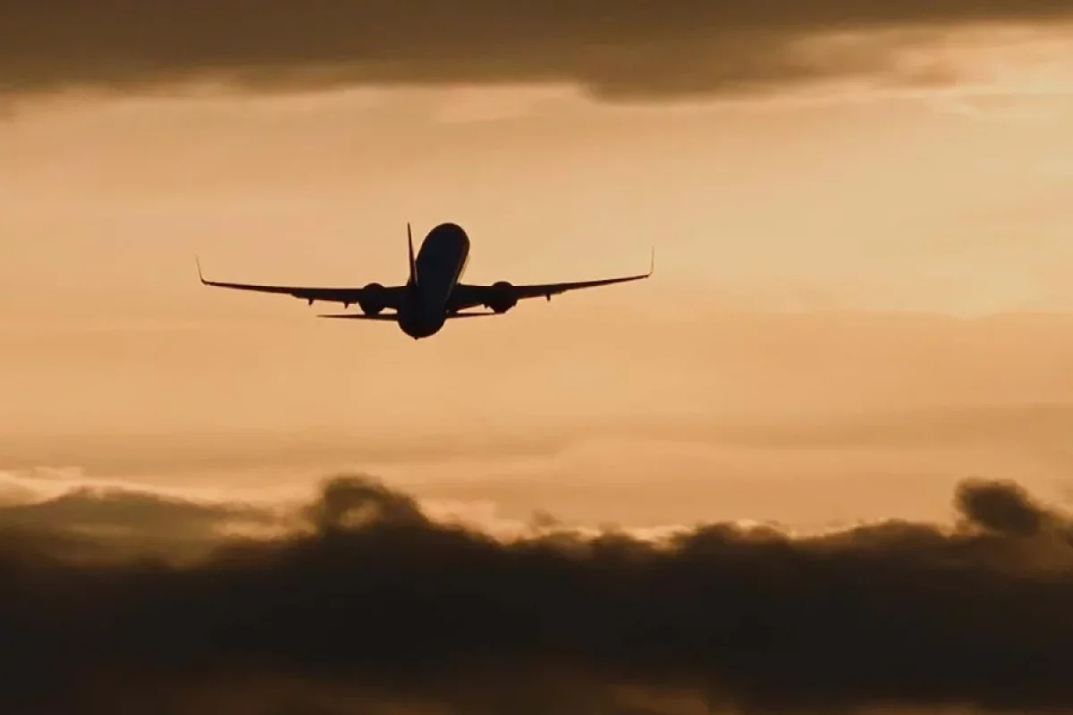 Hind ailəsini təhqir edən qadına - uçuş qadağası