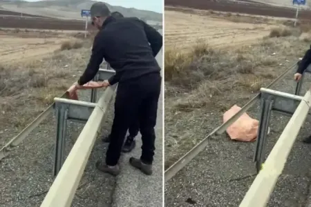 Yol kənarına qoyulan torbanı açan vətəndaşlar dəhşətli mənzərə ilə qarşılaşdı