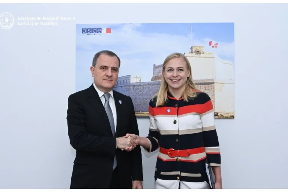 Ceyhun Bayramov Finlandiya XİN başçısı ilə görüşüb