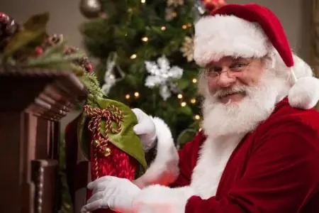 Alimlər Santa Klausun necə göründüyünü göstərdilər