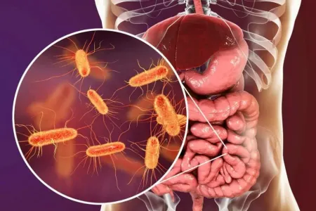 Bağırsaq sağlamlığı və meditasiya arasındakı əlaqə tədqiq edilib - ARAŞDIRMA