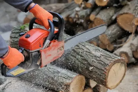 Sabirabad sakini elektrik mişarı ilə ayağını kəsdi
