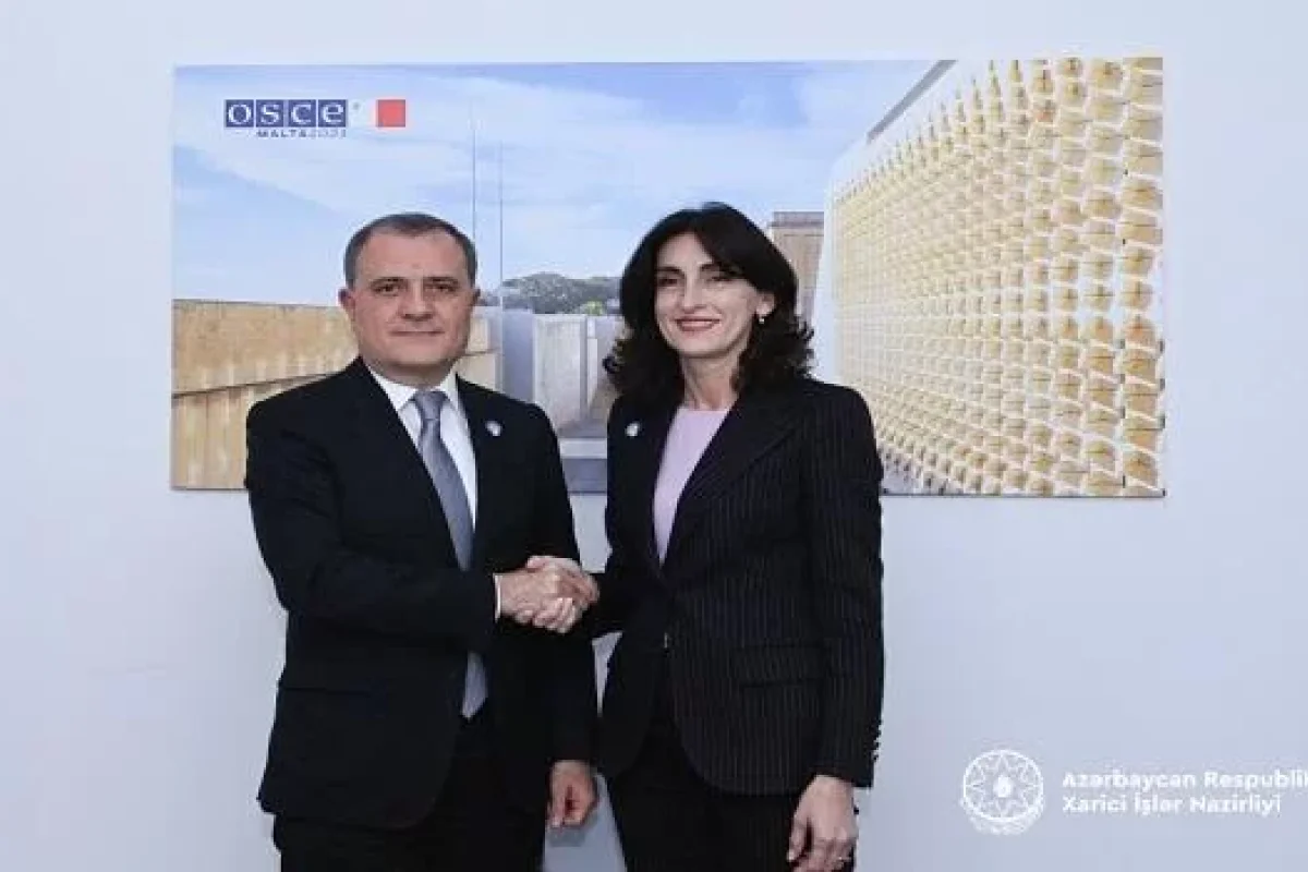 Bakı və Tiflis regional təhlükəsizliyi müzakirə etdi