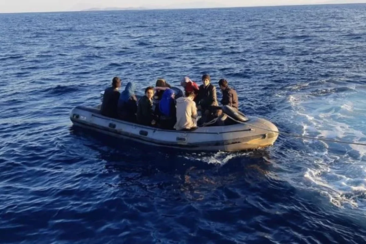 Türkiyəyə qanunsuz girmək istəyən 31 mühacir tutuldu