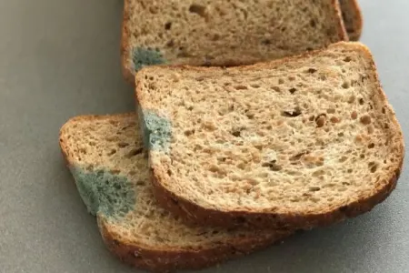 Bunu çörək qabına qoyun və çörək kiflənməyəcək