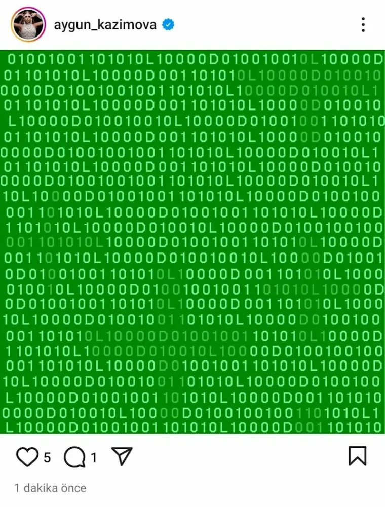 Aygünün səhifəsi yenə oğurlandı: görün nə paylaşırlar — - FOTOLAR