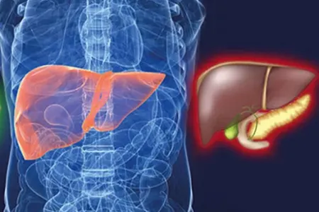 Həkimlər bu içkilərlə bağlı mifi DAĞITDI: - Qaraciyərə ikiqat ZƏRBƏ VURUR