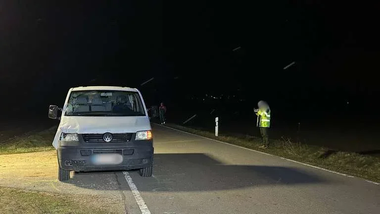 İtini gəzdirən gənci maşın vurdu - FOTO