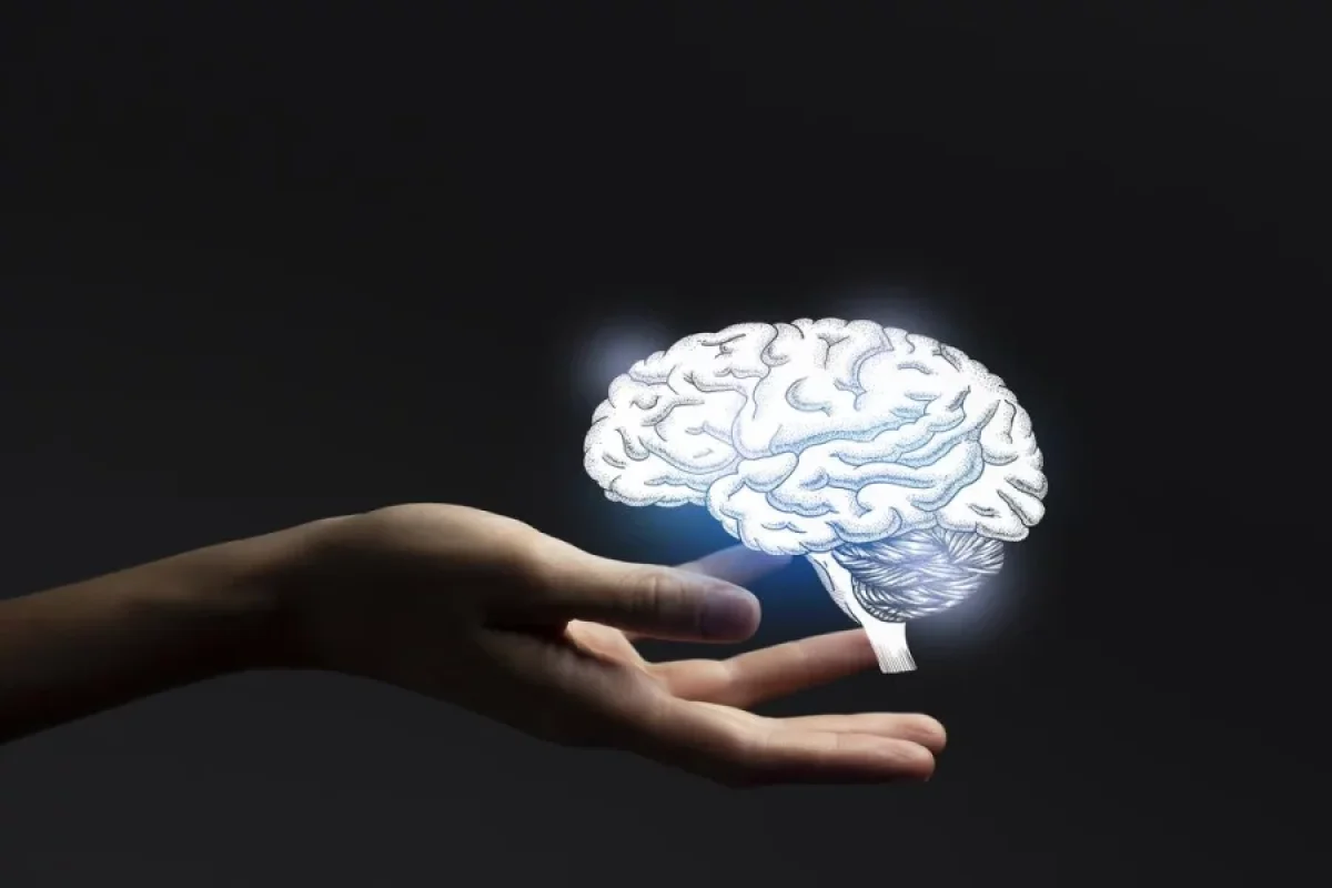 Alimlər ürəkdə "Mini Beyin" aşkar ediblər