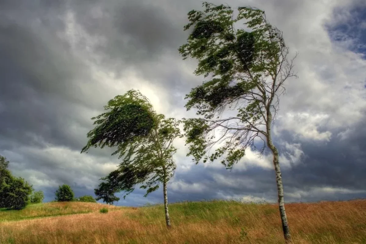 Küləyin sürəti saniyədə 23 metrə çatıb - FAKTİKİ HAVA