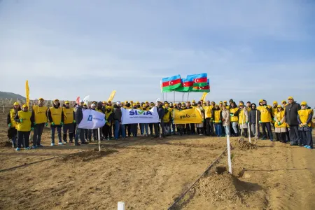 Yelo Bank dedi və etdi: - hər müştəri üçün bir ağac!