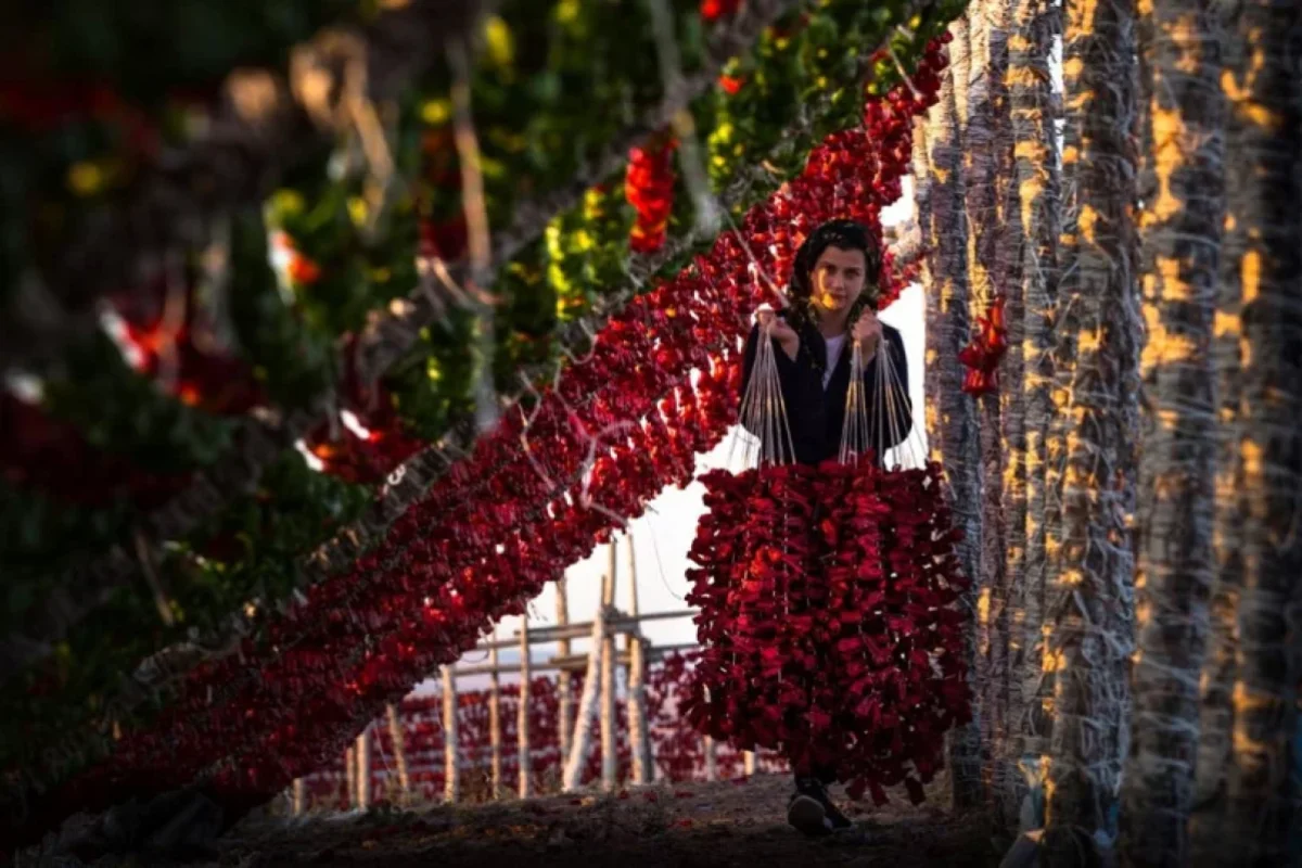 Ürək üçün güclü dərmandır