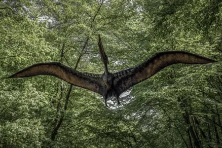 Yeni canlı növü tapıldı – Uçan nəhəng