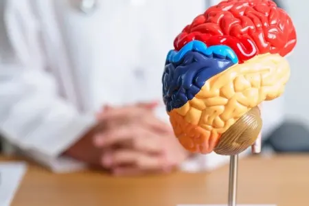 Beyni məhv edən meyvənin adı AÇIQLANDI