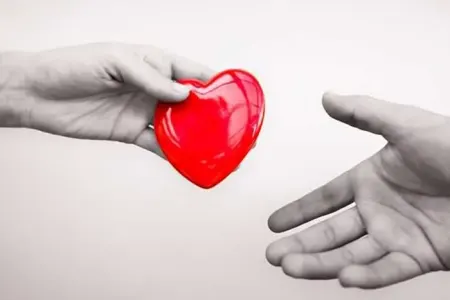 Orqan nəqli ilə yaddaş və xatirələr də köçürülə bilər?