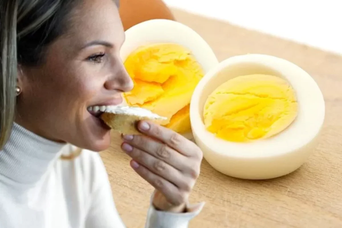 Pendir və ya yumurta: - Hansında daha çox protein var?