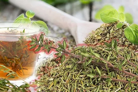 Kəklikotunun faydaları