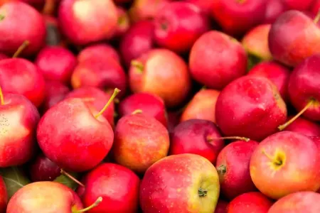 Almanı belə yemək sağlamlığa… - TƏHLÜKƏLİDİR