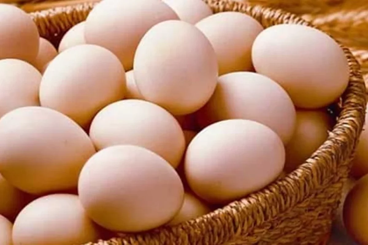Yumurta qiymətləri nə üçün bahalaşıb? - 8-9 qəpik həddindən artıq ucuz idi