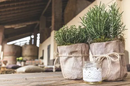 Saç tökülməsini azaldır, həm də arıqladır