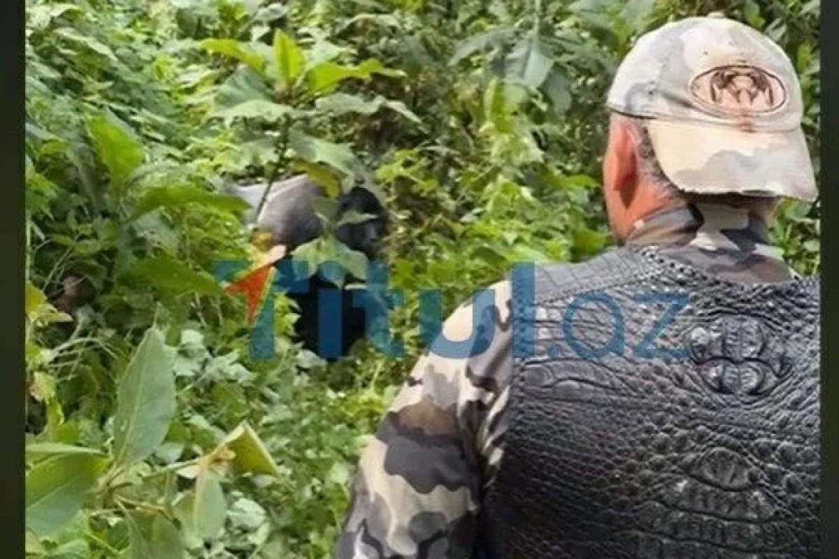 Azərbaycanlı məşhur ŞOK YAŞADI: - Dünyanın ən təhlükəli canlısı...