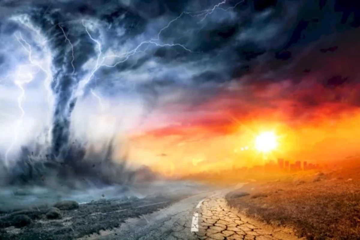 Heyvanlar bunu edirsə, o ərazidən uzaqlaşın… – DİQQƏT!