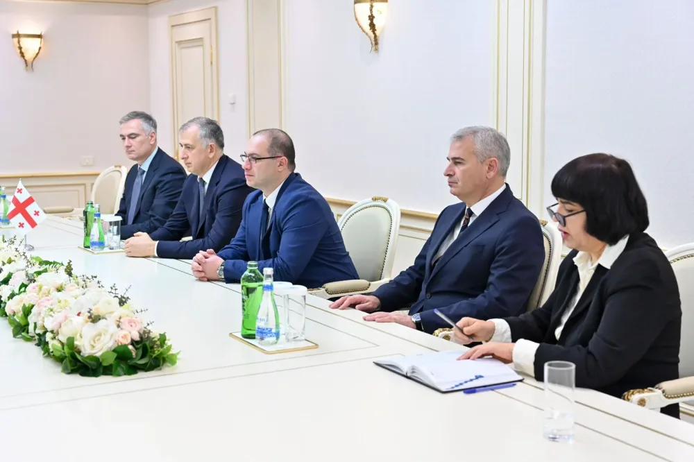 Sahibə Qafarova gürcü deputatlarla görüşdü - FOTO