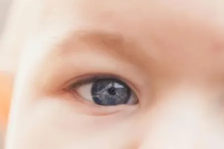 Mavi gözlü insanların ən qədim nümayəndəsi üzə çıxarıldı